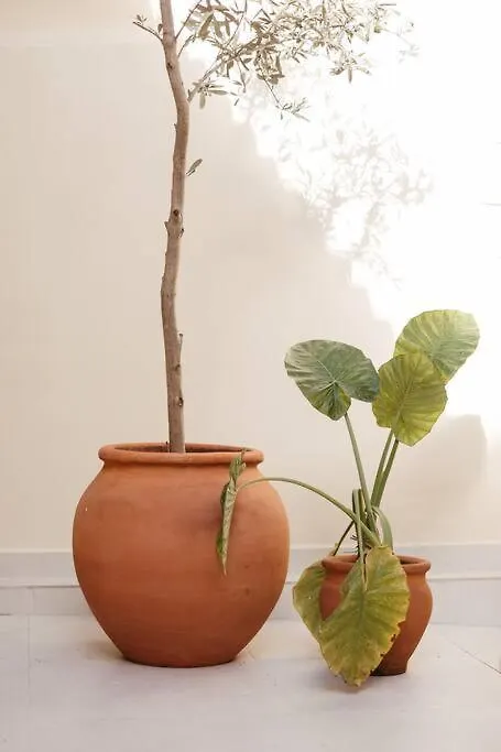 Apartment Garden By Holistay Tirana